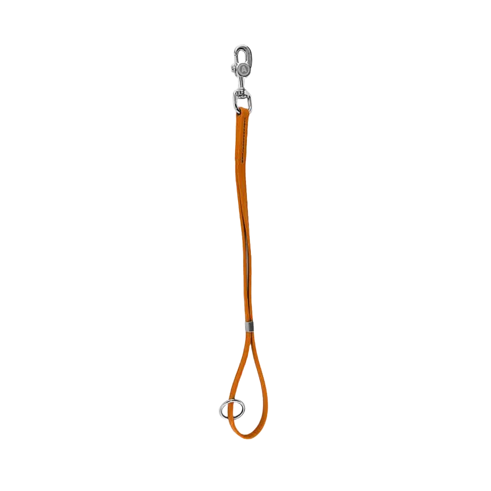 20 Inch Loop 2.0 - Orange by Alpha Grooming