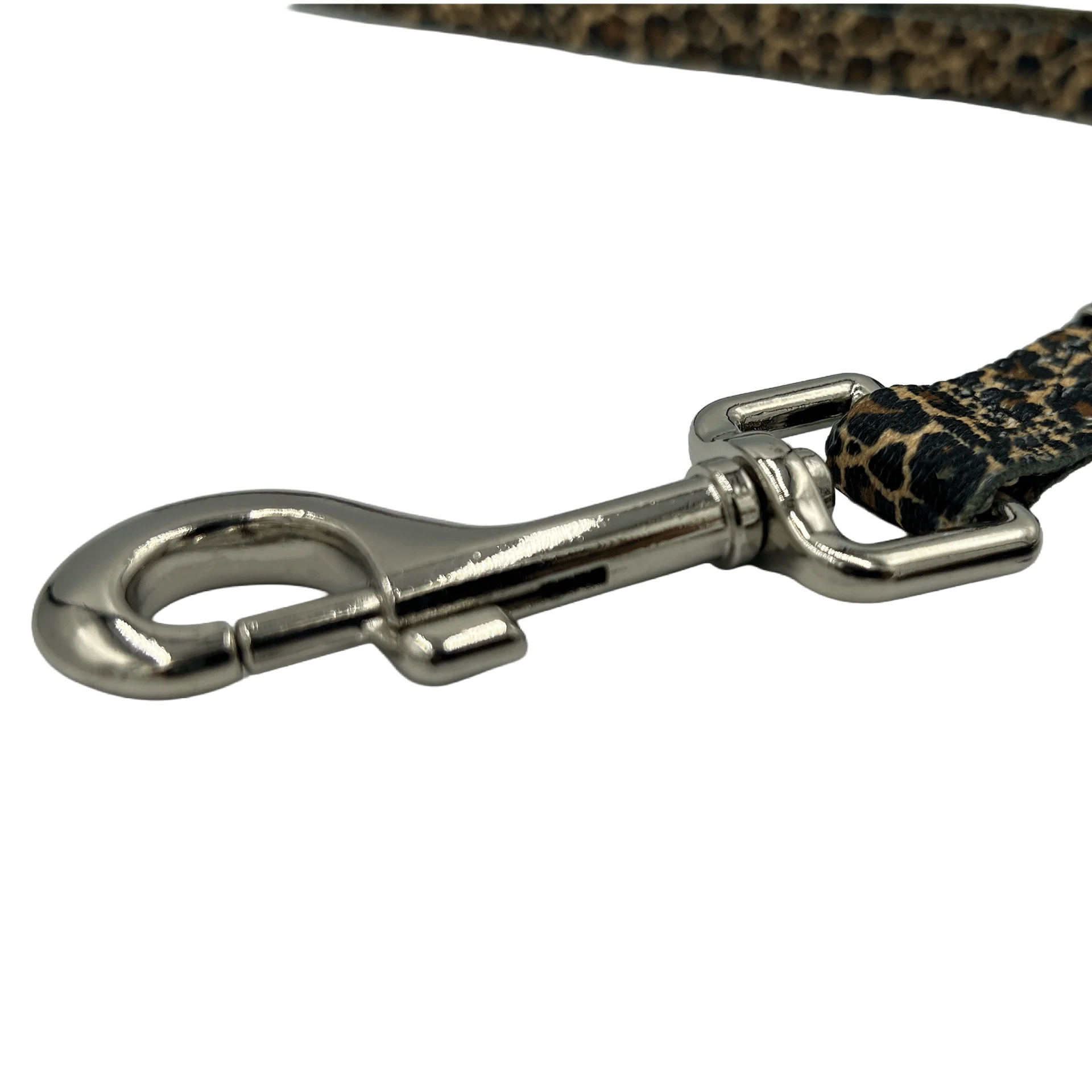 24" Polyester Loop Jungle Leopard by Groom Loop - Image 5