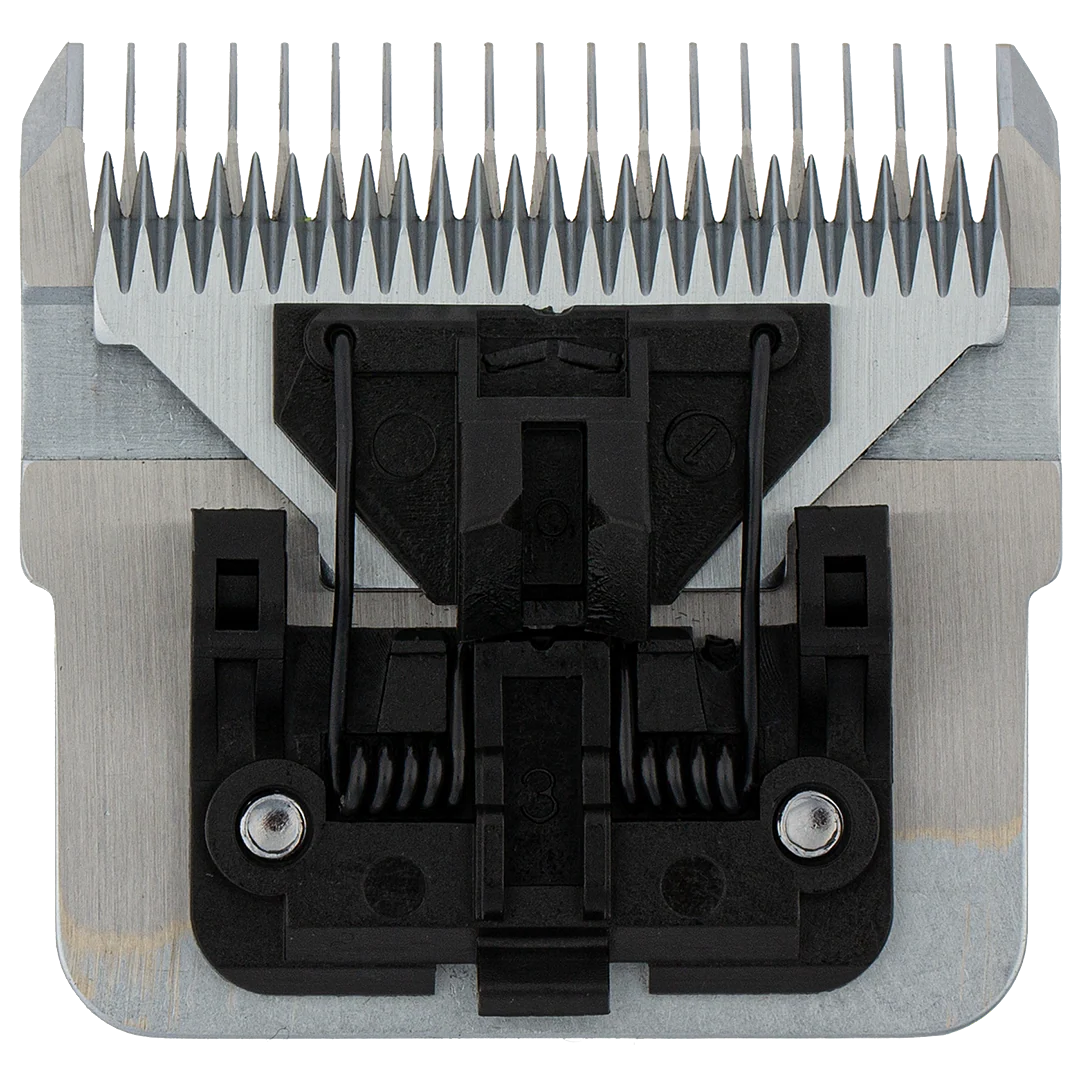 #40 D-Series Blade by PetStore.Direct - Image 2