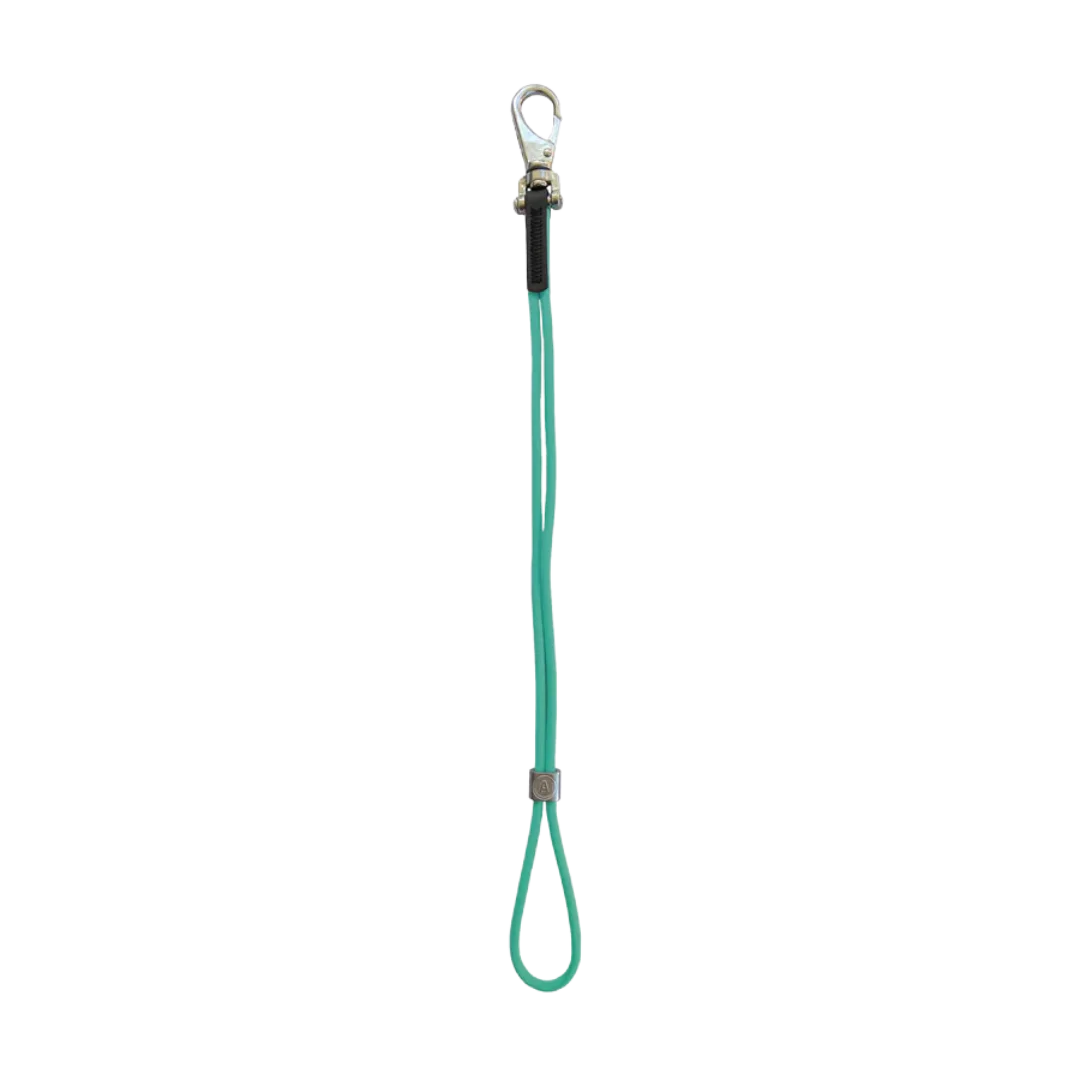 AXL Show Loop Teal by Alpha Grooming