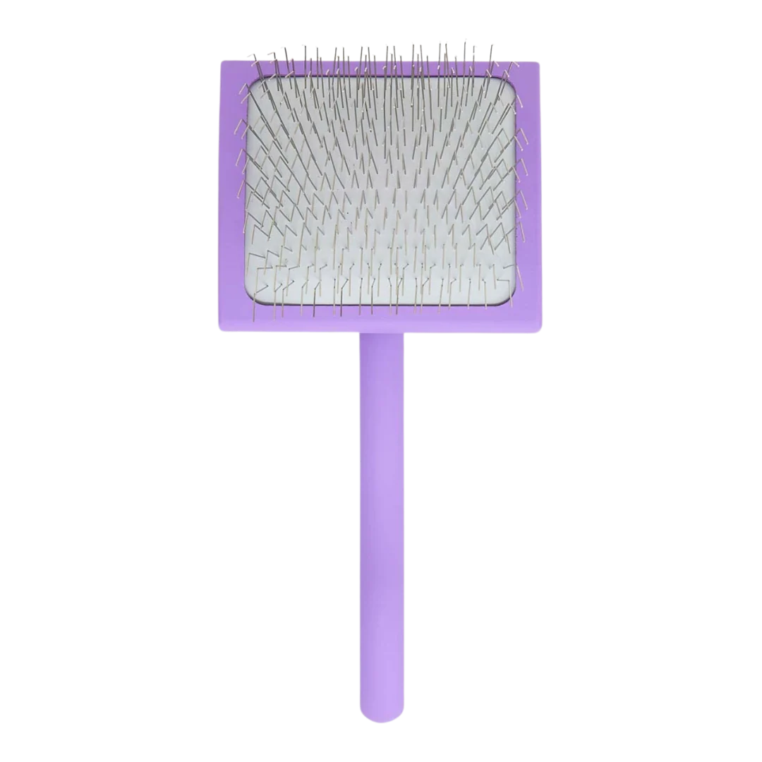 Big A Slicker Brush Large/Purple by Chris Christensen