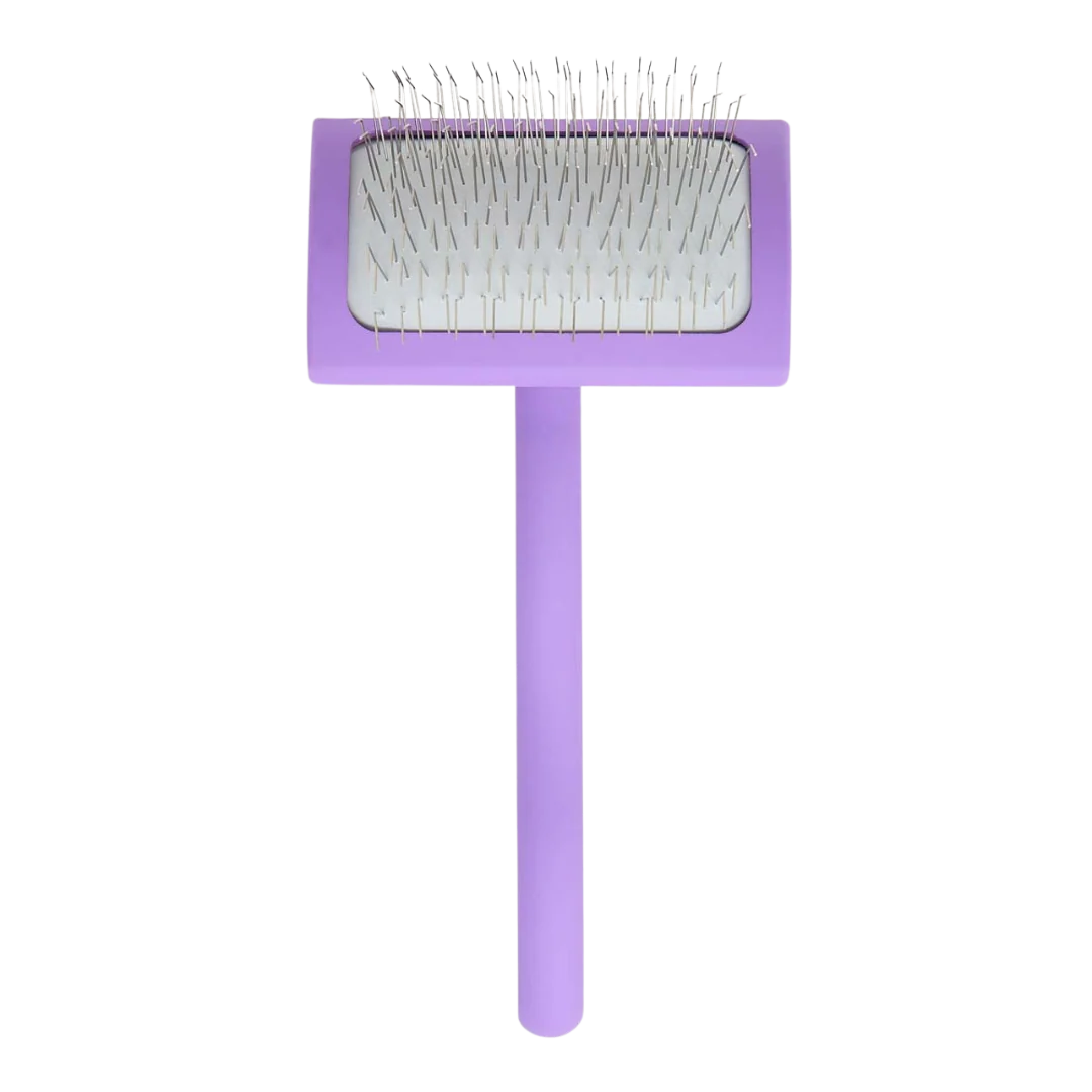 Big A Slicker Brush Medium/Purple by Chris Christensen
