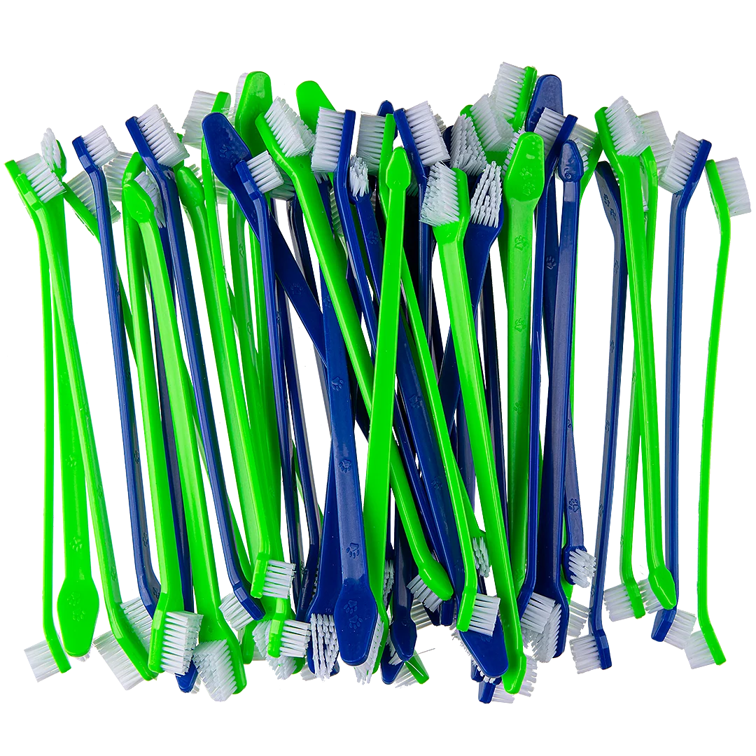 Dual-end Tooth Brushes 50 Count Green/Blue by PetStore.Direct