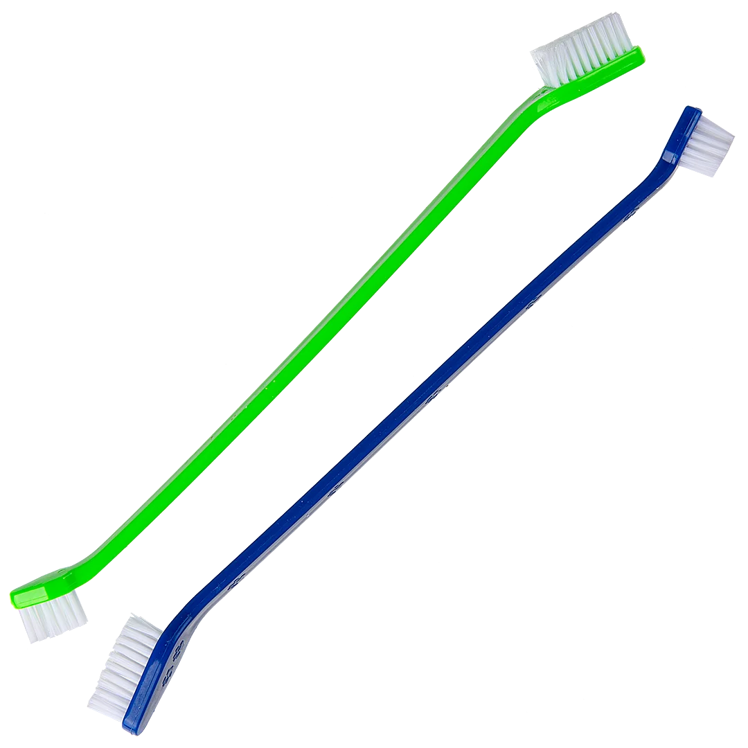Dual-end Tooth Brushes 50 Count Green/Blue by PetStore.Direct - Image 3