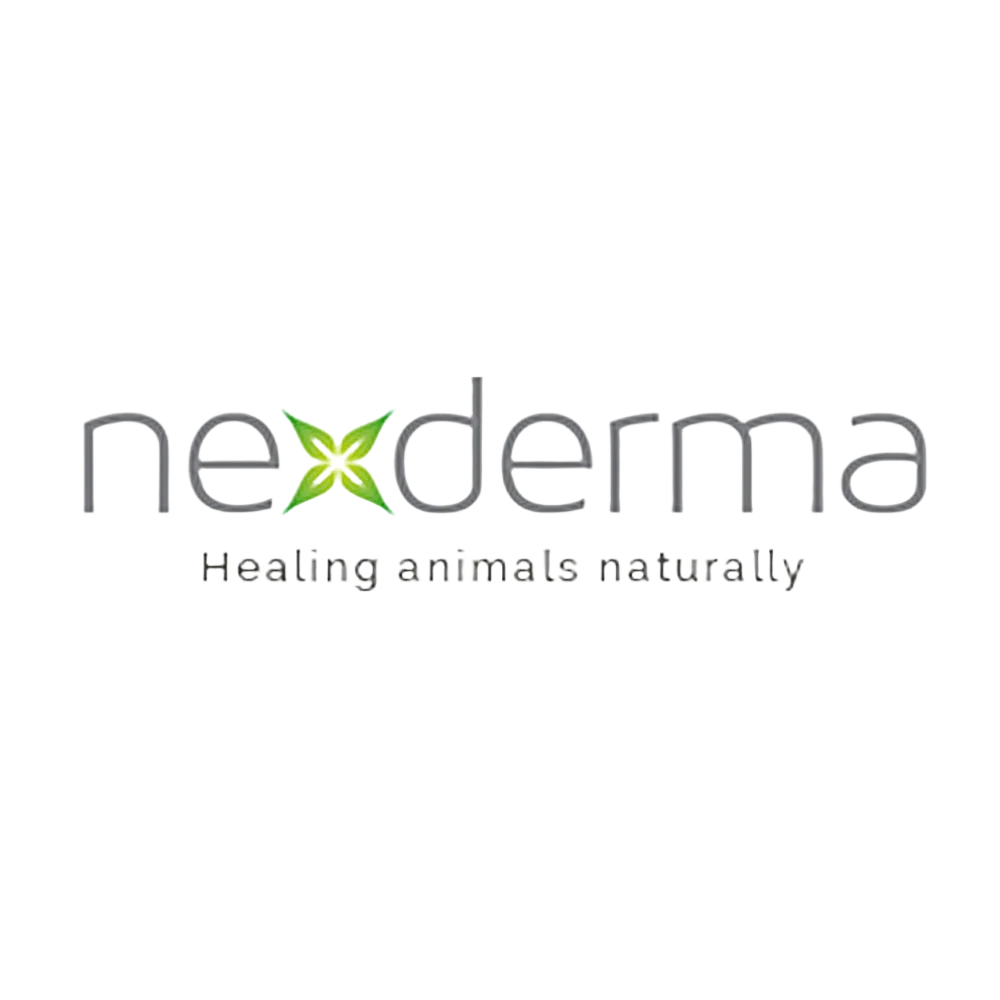 Fresh & Clean Scent Deep Moisturizing Shampoo Gallon by Nexderma - Image 2