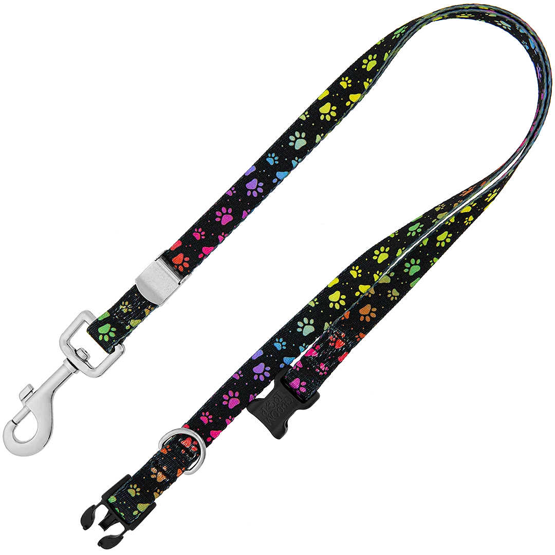 24″ Polyester Loop Rainbow Pretty Paws by Groom Loop