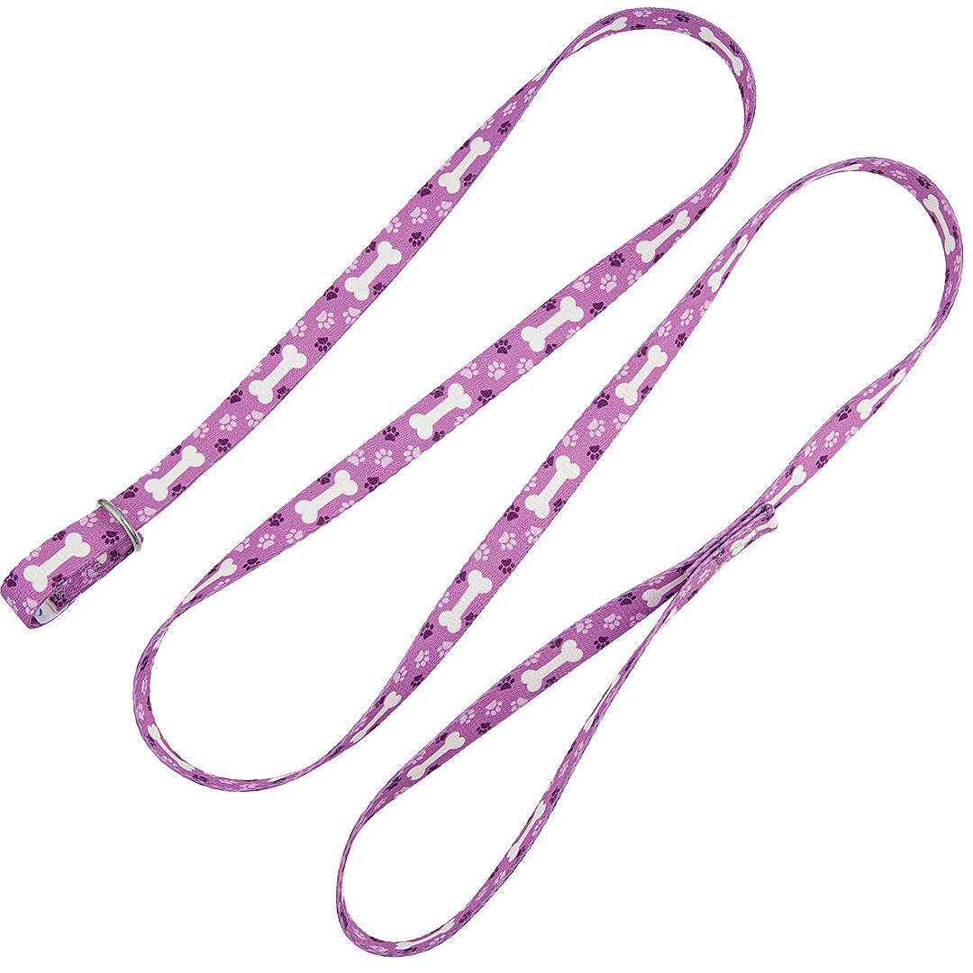 5ft Slip-Lead Leash Purple Bone by Groom Loop