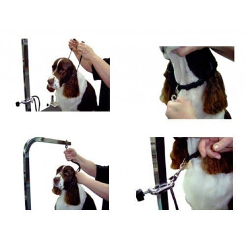 3/8" Small Grooming Loop Black by Groomer's Helper - Image 3
