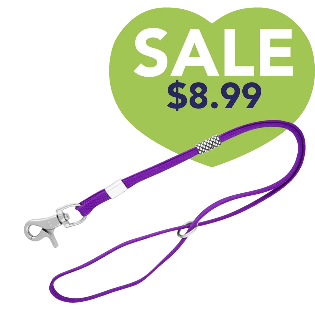 Grooming Loop in Purple by Aeolus