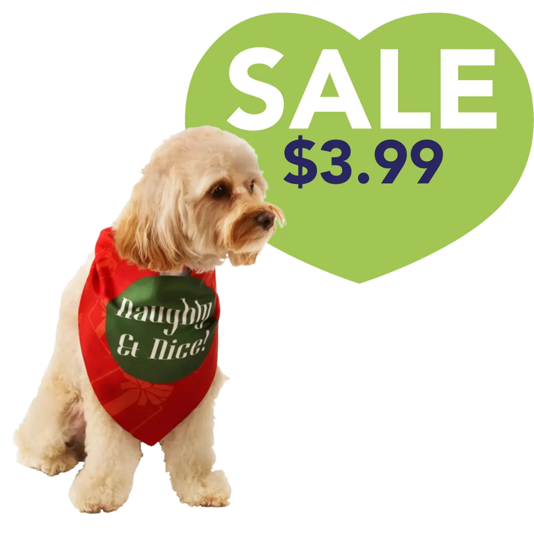 Naughty & Nice Holiday Dog Bandana by Dog Fashion Living