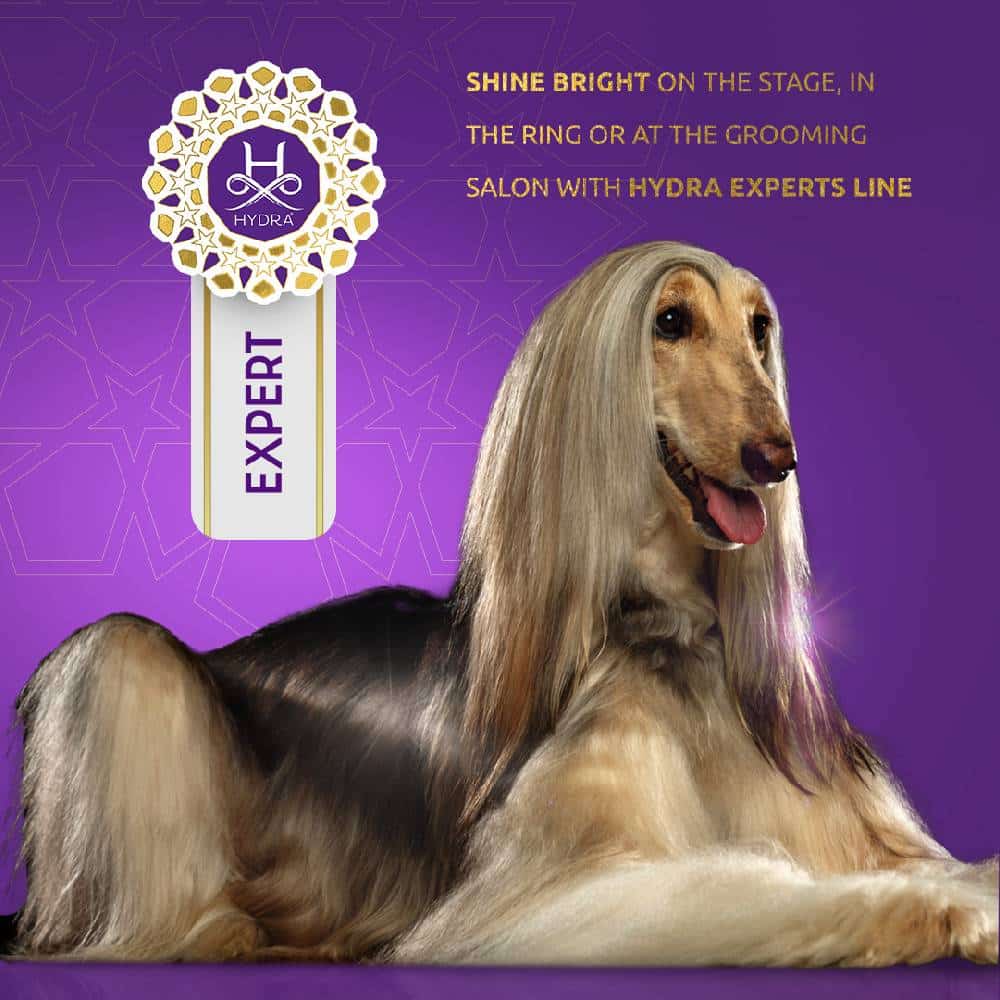 Expert Coat Oil 33.8oz by Hydra - Image 2