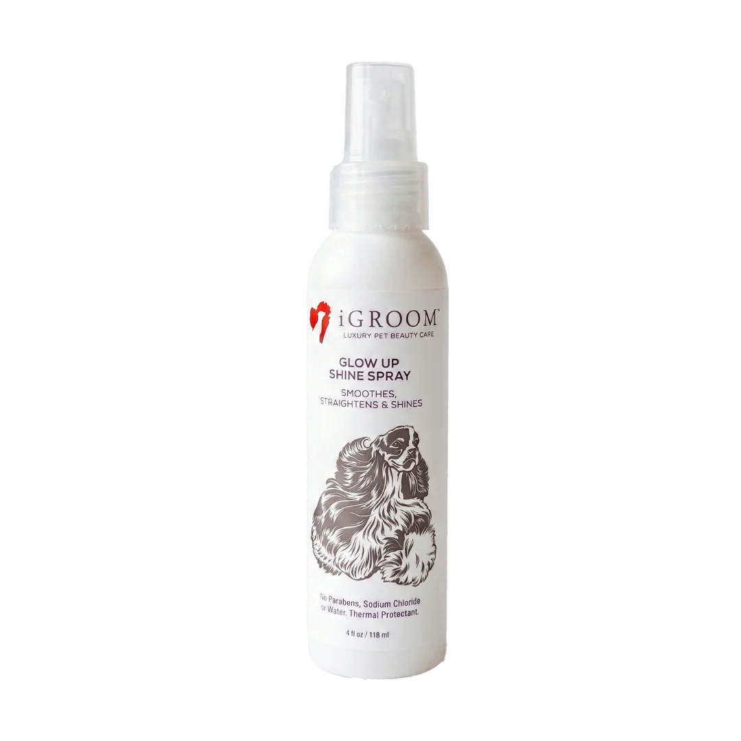 Glow Up Shine Spray 4 Oz by iGroom