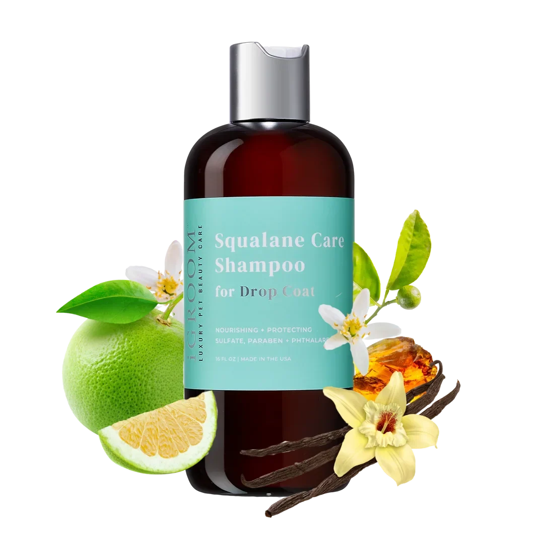 Squalane Care Shampoo 16oz by iGroom - Image 2