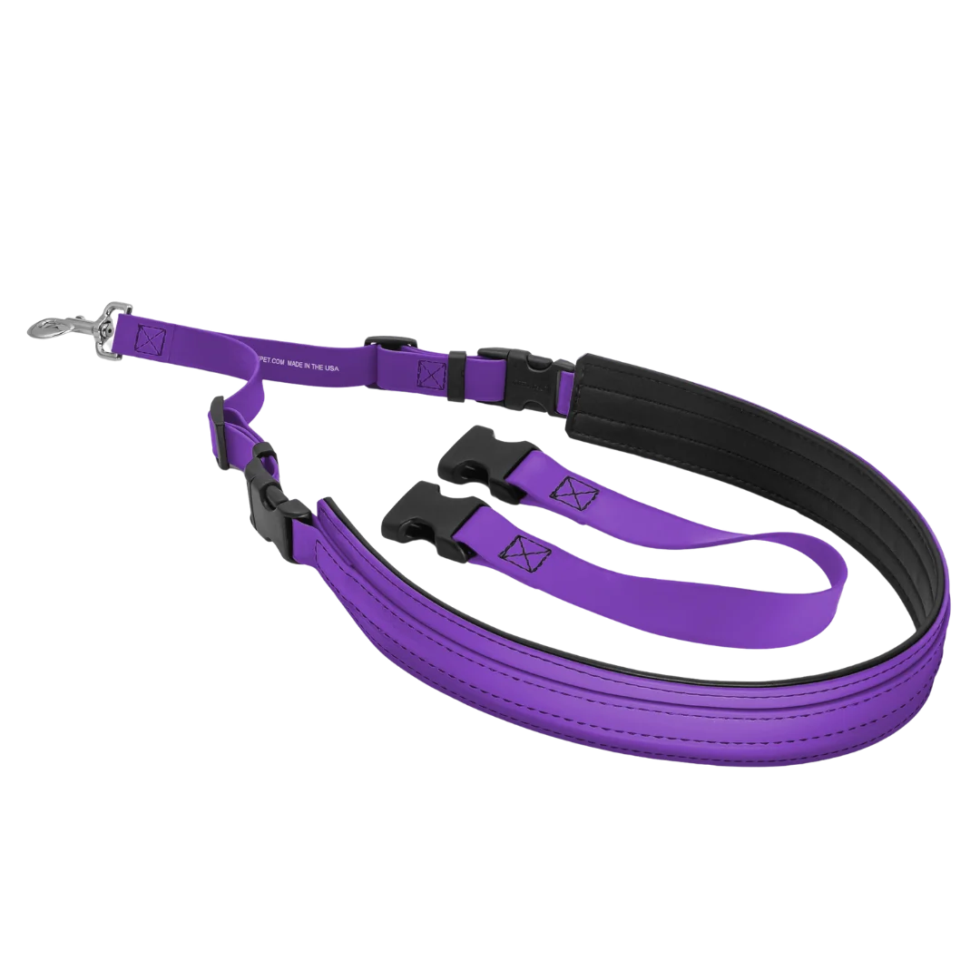 Belly Loop Purple by Jelly Pet