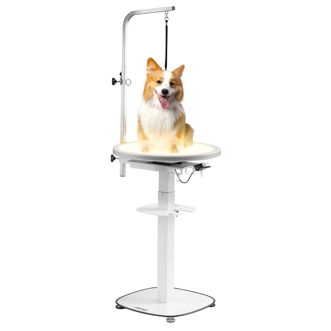 Revolve360 Hydraulic 360° Rotating Grooming Table with Tabletop Light by Jirpet - Image 2