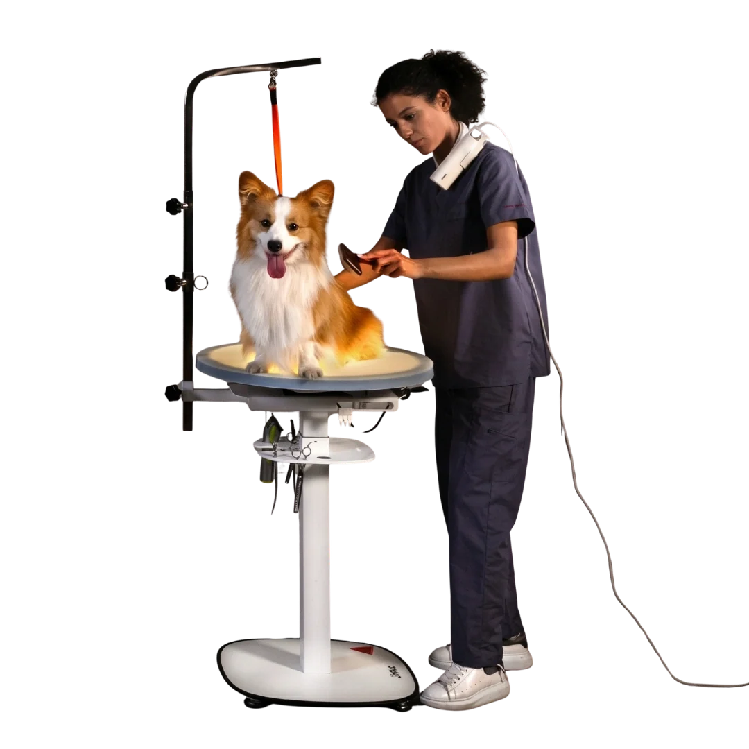 Revolve360 Hydraulic 360° Rotating Grooming Table with Tabletop Light by Jirpet - Image 3