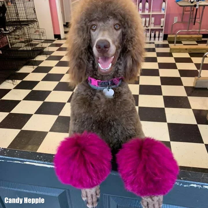 Permanent Dog Hair Dye Adorable Pink 8oz by Opawz - Image 4