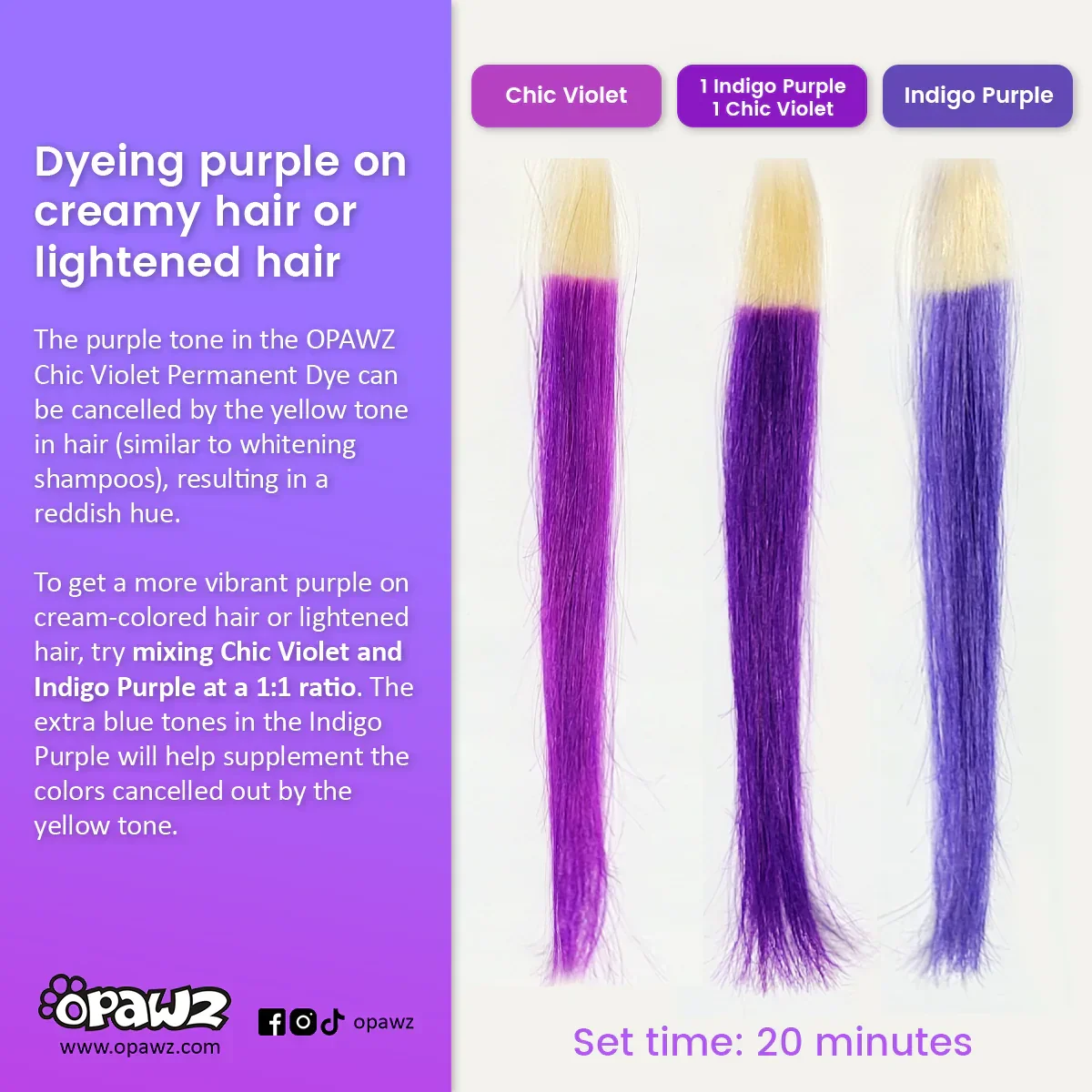 Permanent Dog Hair Dye Chic Violet 8oz by Opawz - Image 5