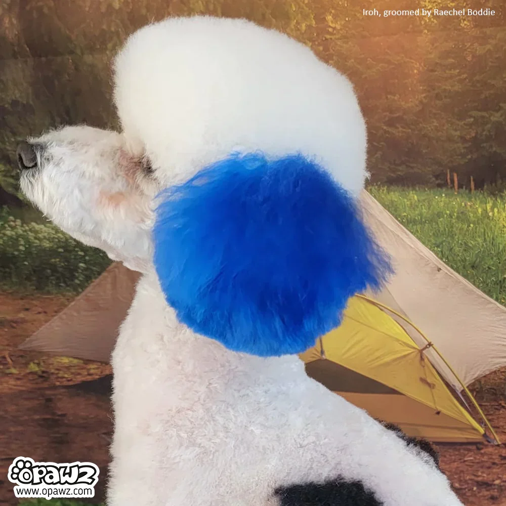 Permanent Dog Hair Dye Cobalt Blue 8oz by Opawz - Image 2