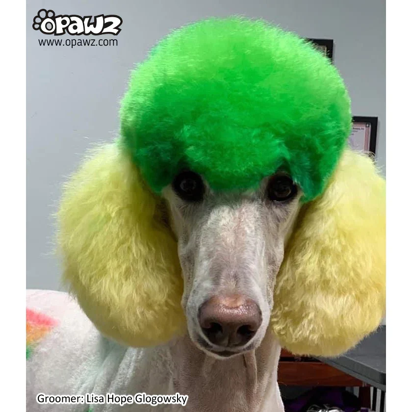 Permanent Dog Hair Dye Profound Green 8oz by Opawz - Image 2