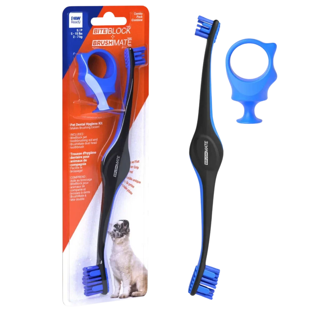 Blue Brushmate Premium Toothbrush with Biteblock Small by Paw Ready - Image 3