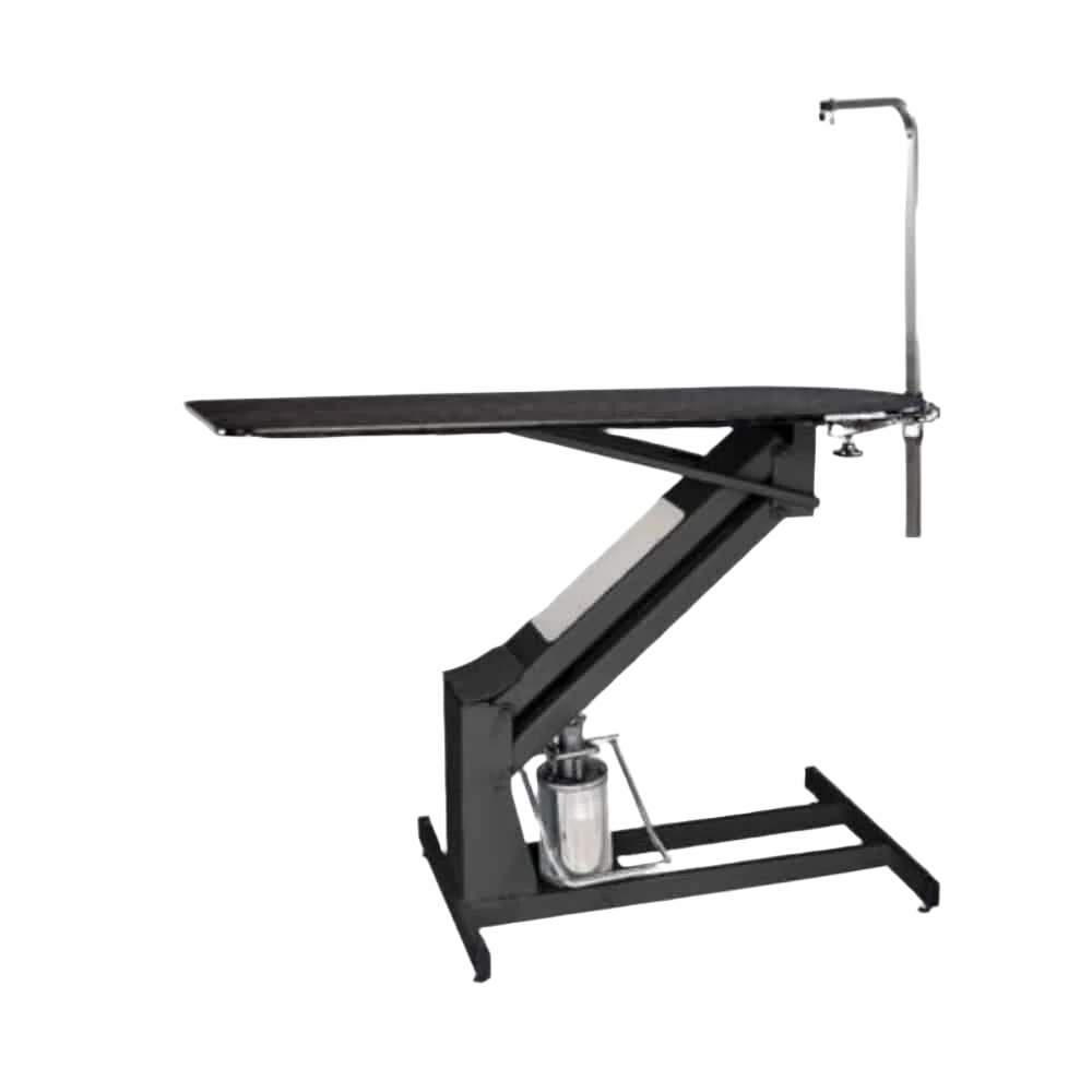 MasterLift Hydraulic Grooming Table with Rotating Post by PetLift