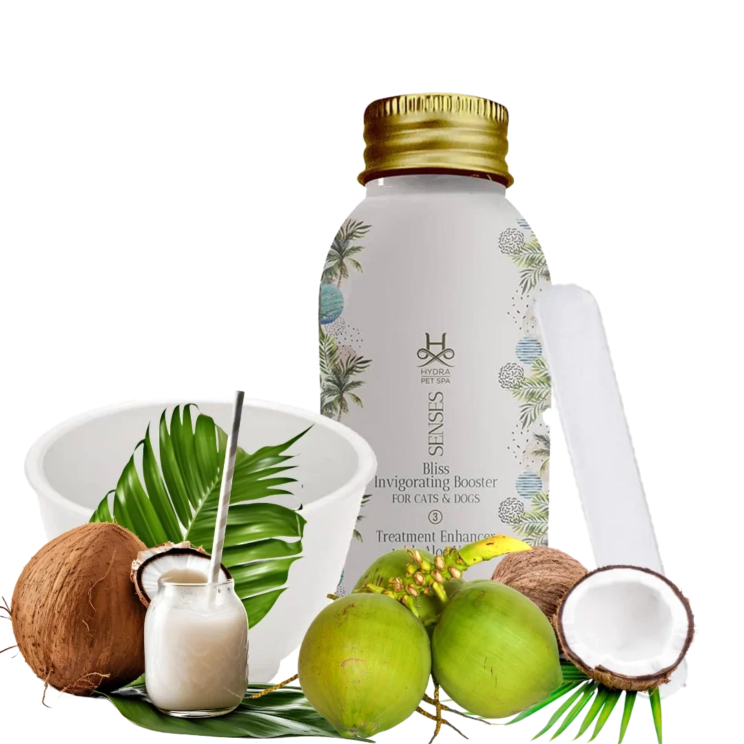 Senses Bliss Fortifying Conditioner Booster and Mixing Bowl by Hydra - Image 2