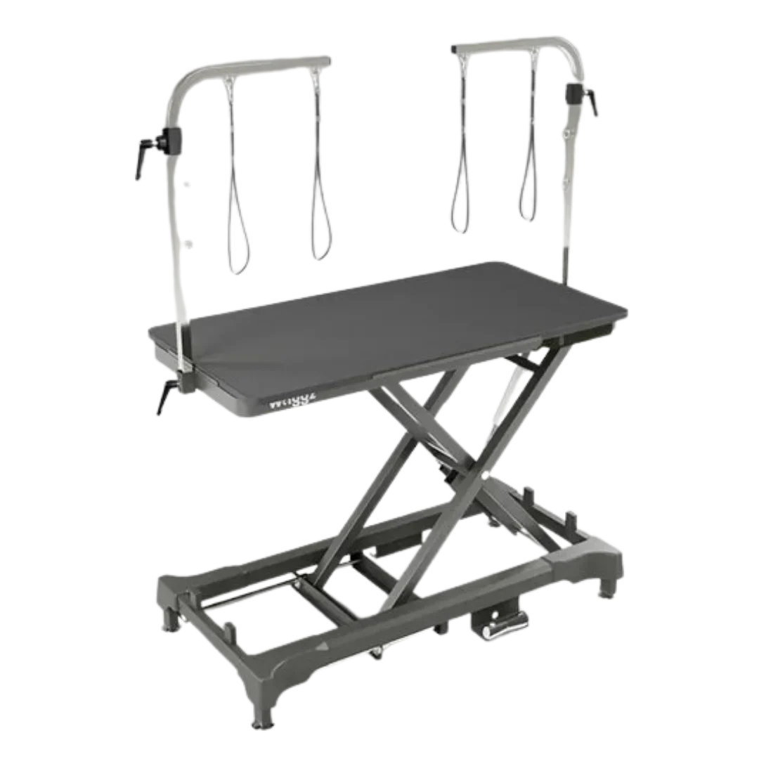 Pre-Order 50" Dog Grooming 908 Electric Table without Drawer Black + Free Solo-Stream Dryer by Waggz - Image 2