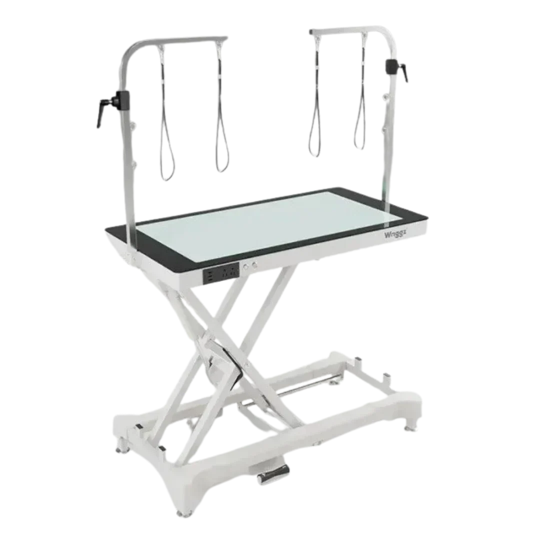 50" Dog Grooming LED Electric Table without Drawer White by Waggz