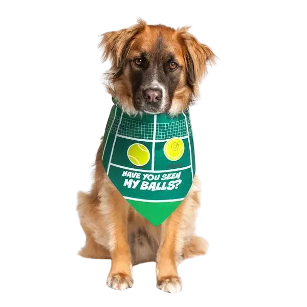 "Have You Seen My Balls?" Dog Bandana by Dog Fashion Living