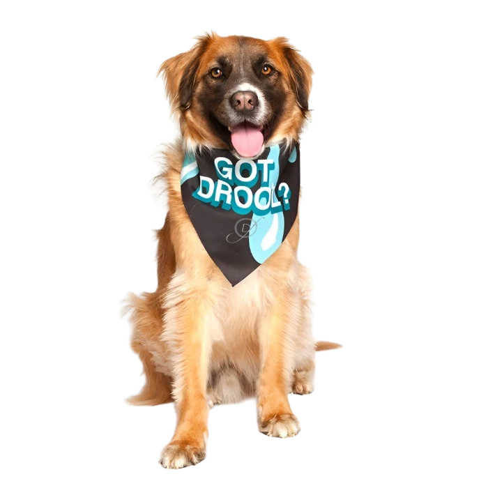 "Got Drool?" Dog Bandana by Dog Fashion Living