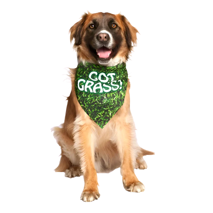 "Got Grass?" Dog Bandana by Dog Fashion Living