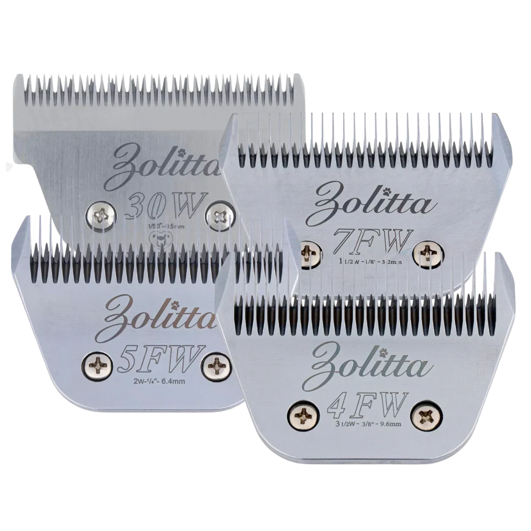 Best-Selling Wide Blades Set of 4 by Zolitta - Image 2